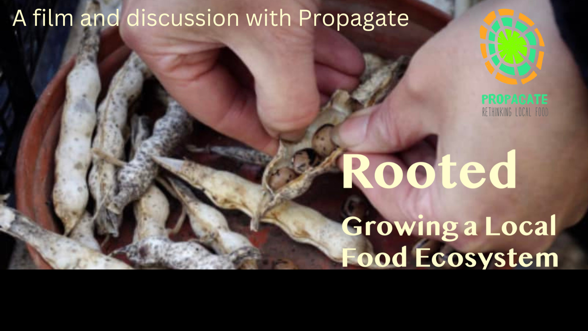 Rooted: Growing a Local Food Ecosystem